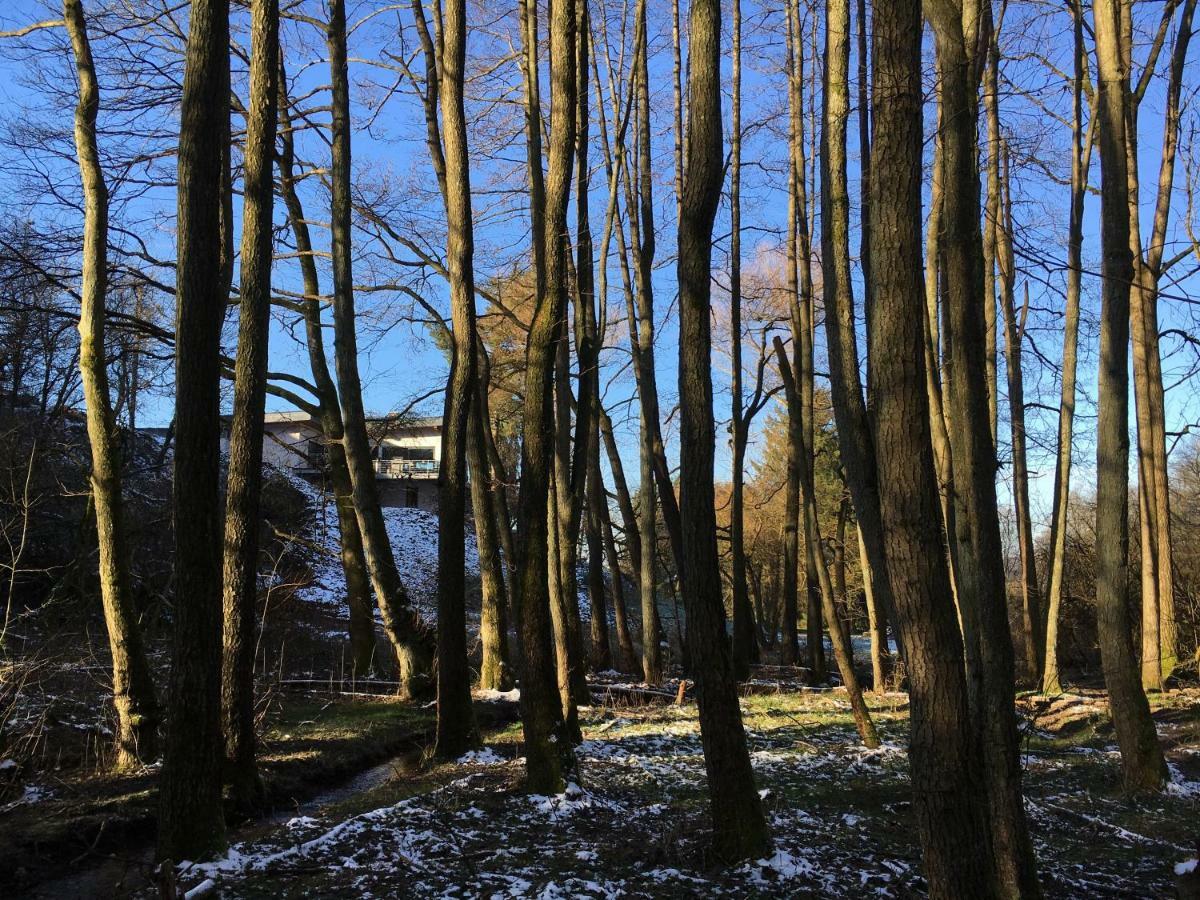 Haagalm Terrasse, Garten Nonnweiler Exteriér fotografie