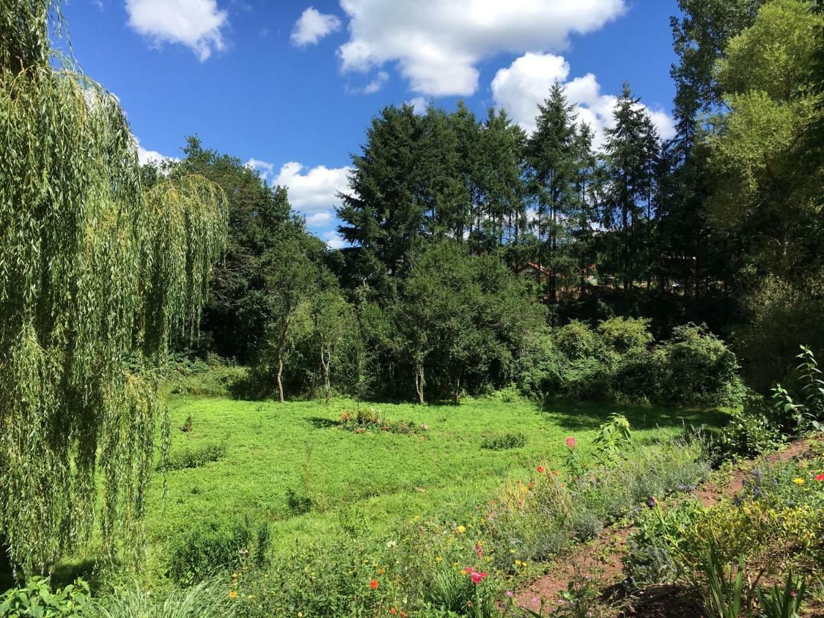 Haagalm Terrasse, Garten Nonnweiler Exteriér fotografie