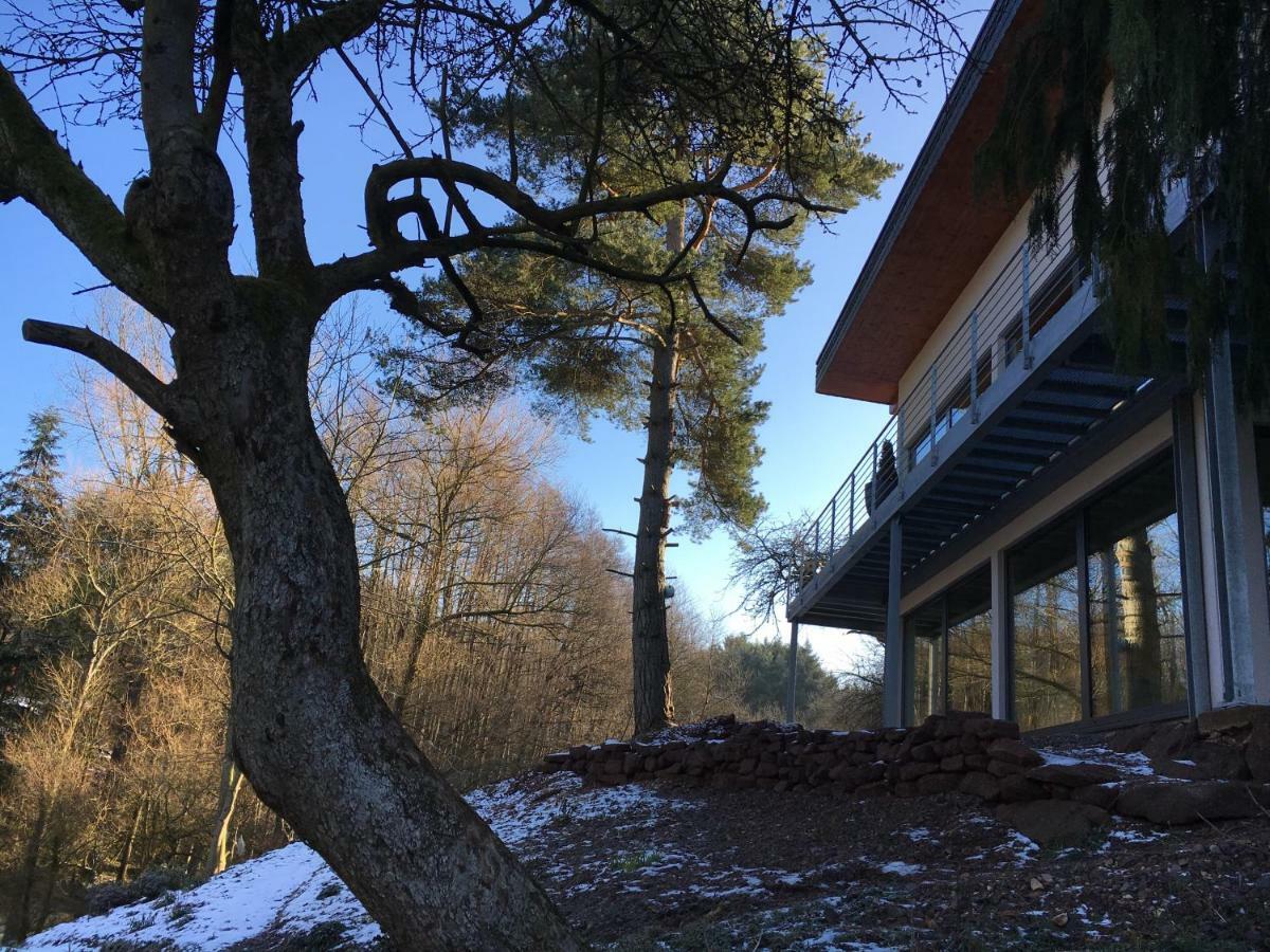 Haagalm Terrasse, Garten Nonnweiler Exteriér fotografie