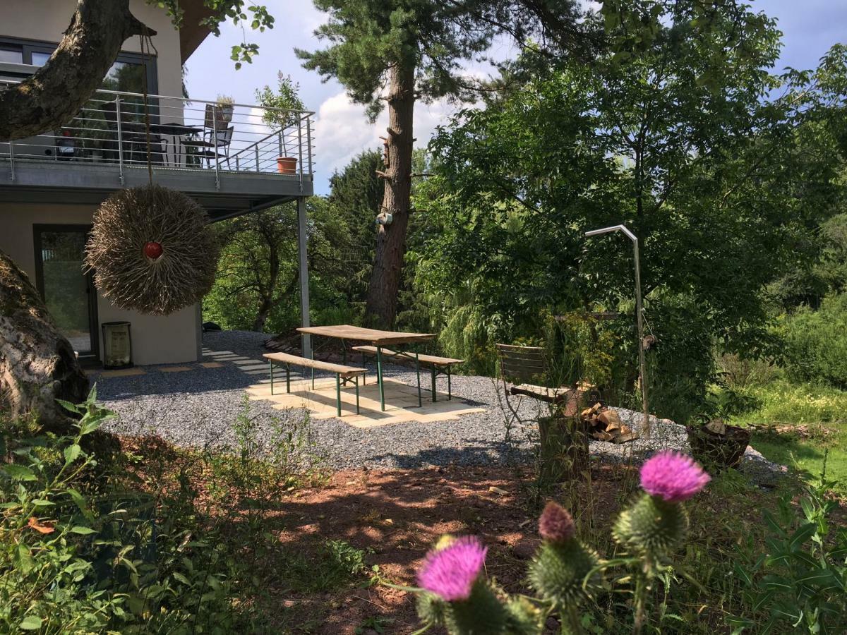 Haagalm Terrasse, Garten Nonnweiler Exteriér fotografie