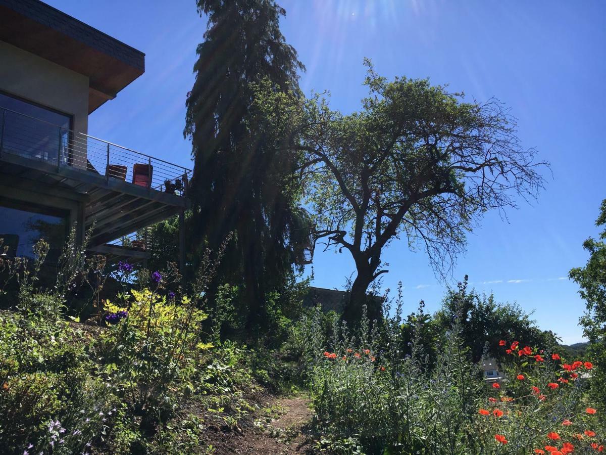 Haagalm Terrasse, Garten Nonnweiler Exteriér fotografie