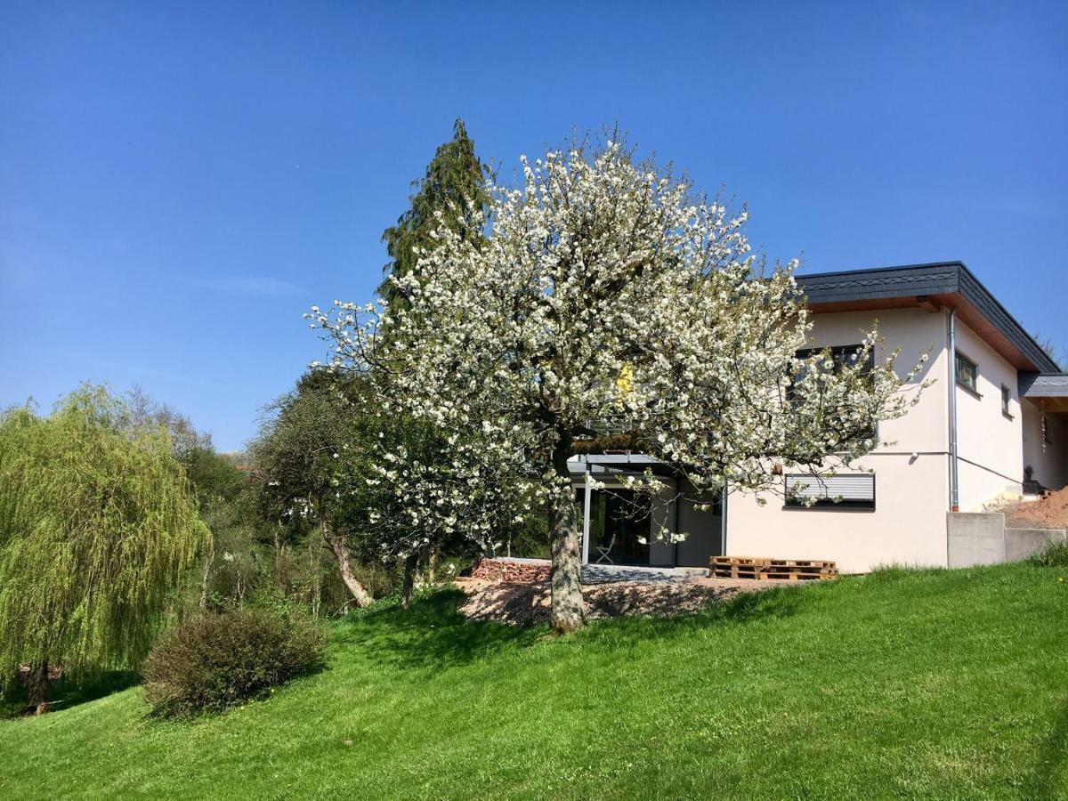 Haagalm Terrasse, Garten Nonnweiler Exteriér fotografie