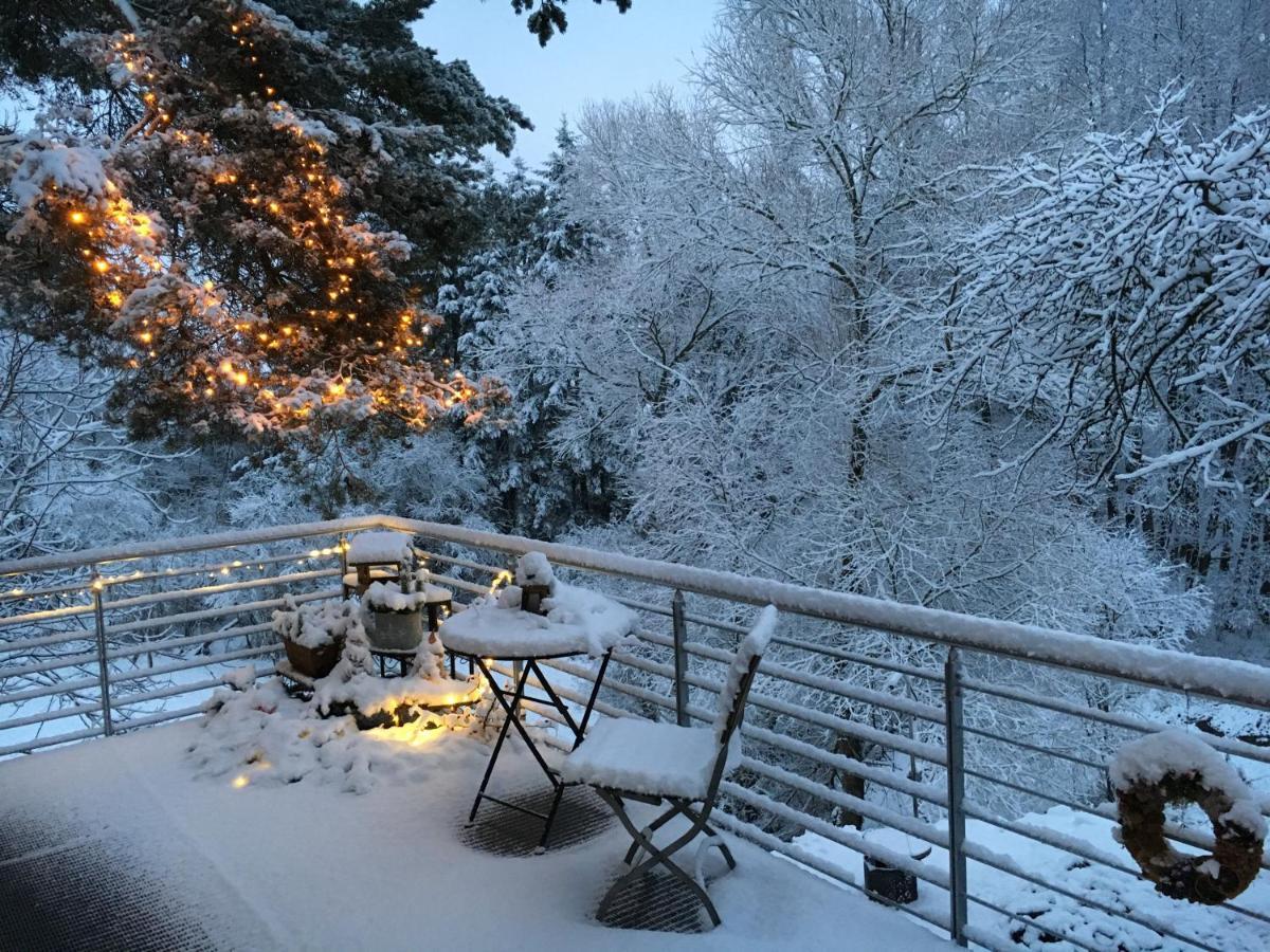 Haagalm Terrasse, Garten Nonnweiler Pokoj fotografie